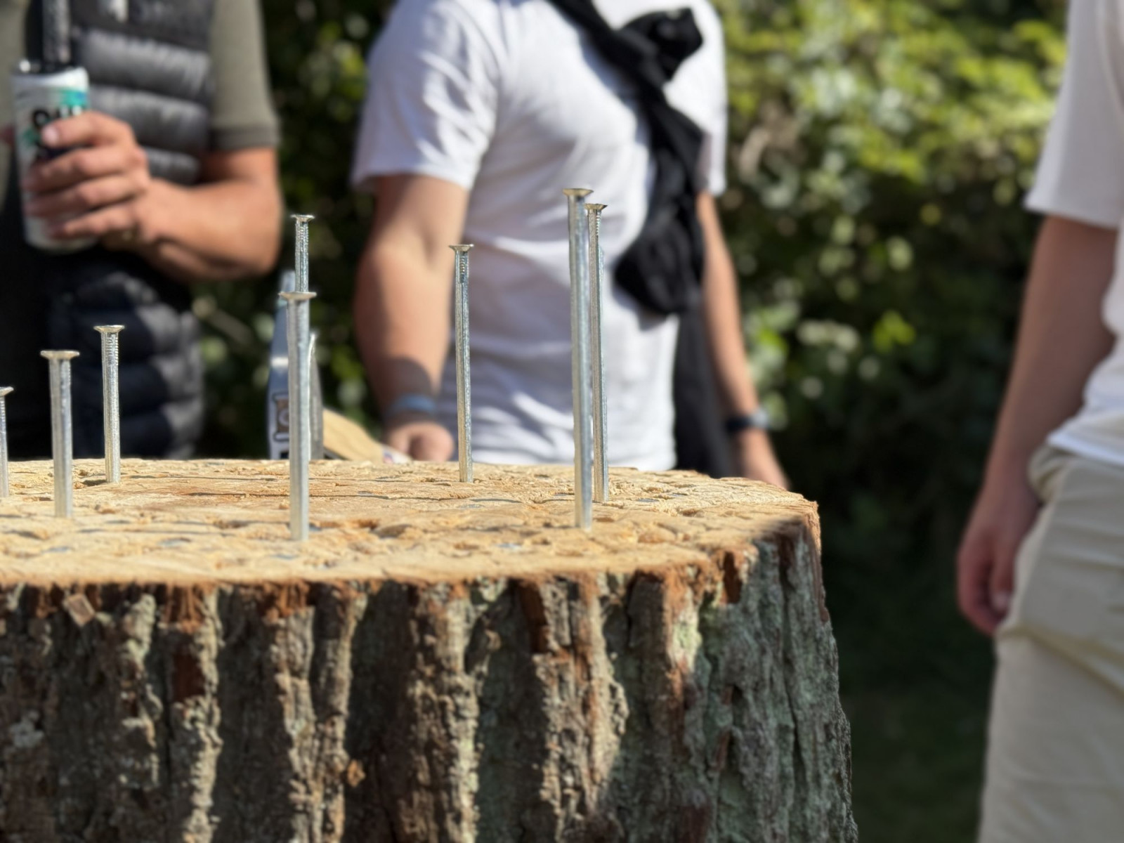 Om Festivalen Endelave