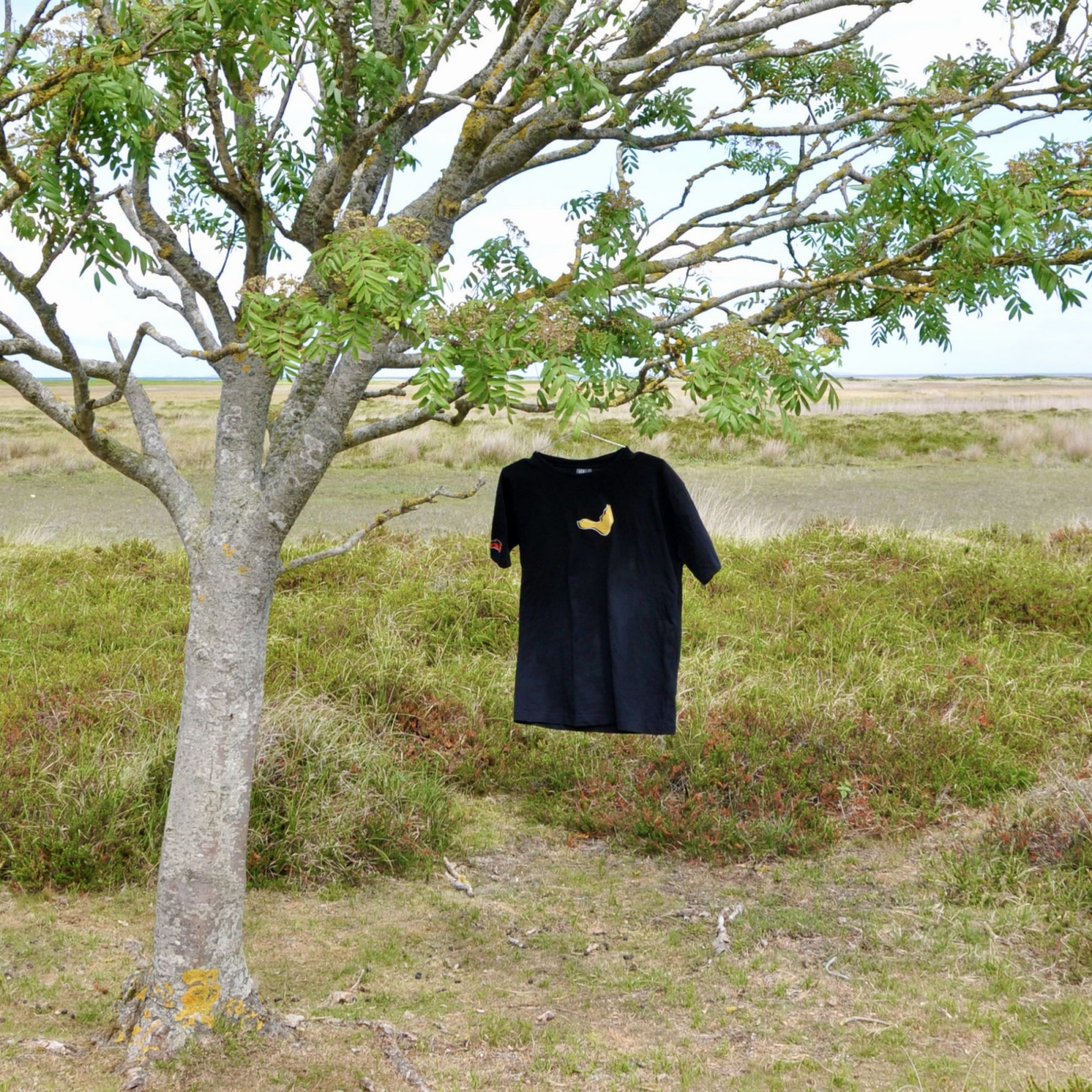 sort t-shrit