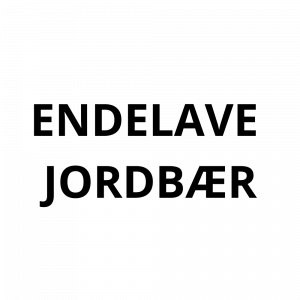 Endelave Jordbær - Thomas Pedersen.png